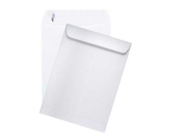 Envelopes 10 x 13 Catalog